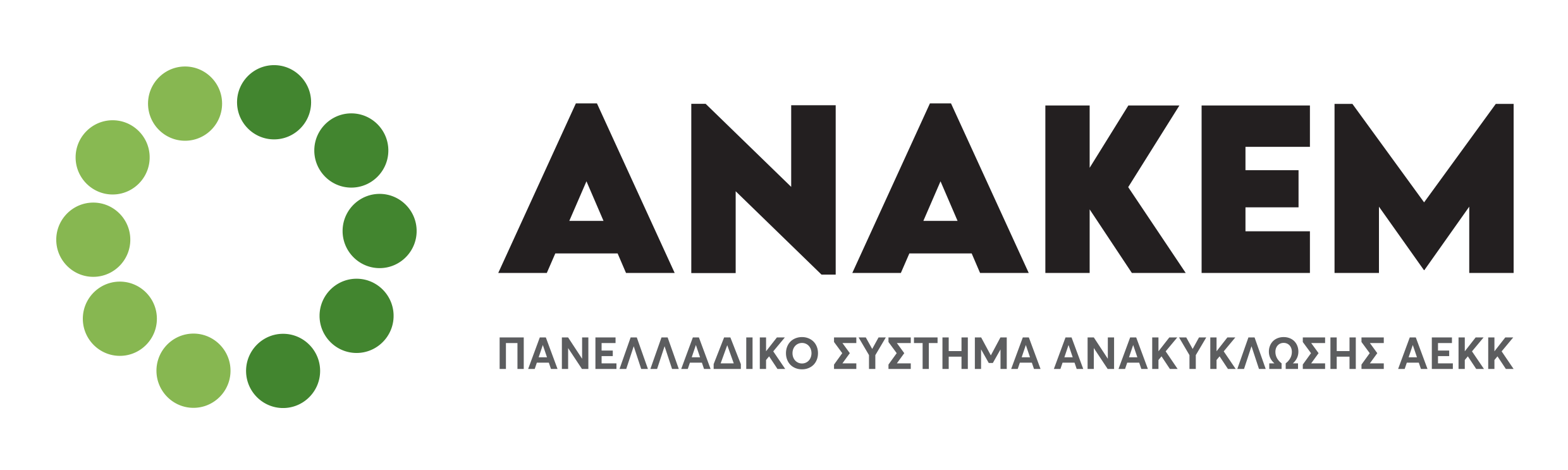 Anakem logo
